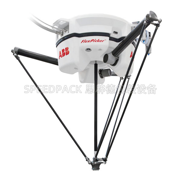 Delta Robot Case Packing System