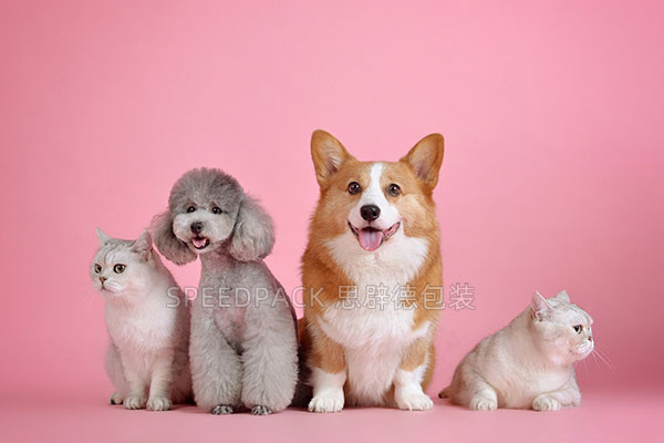China's Pet Industry Market Size Expected to Surpass 345.3 Billion Yuan in 2024