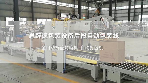 End-of-Line Automatic Packaging System – Video Featuring Fully Automatic Flap-Folding Case Sealer + Strapper