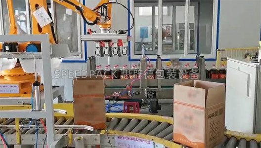Automated End-of-Line Packaging System for Cooking Oil: Automatic Case Erecting, Case Packing, Case Sealing, and Palletizing
